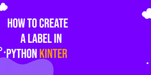 Read more about the article How to Create a Label in Python Tkinter