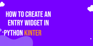 Read more about the article How to Create an Entry Widget in Python Tkinter