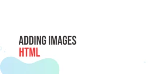 Read more about the article HTML Adding Images