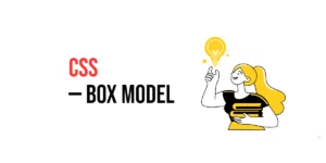 Read more about the article CSS: Box Model