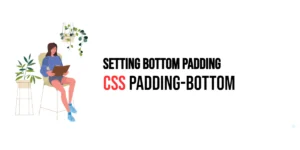 Read more about the article CSS: Padding-Bottom – Setting Bottom Padding