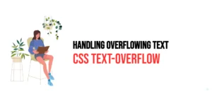 Read more about the article CSS: Text-Overflow – Handling Overflowing Text