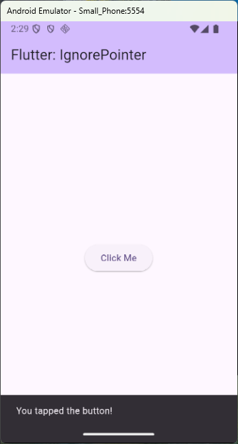 IgnorePointer [False]