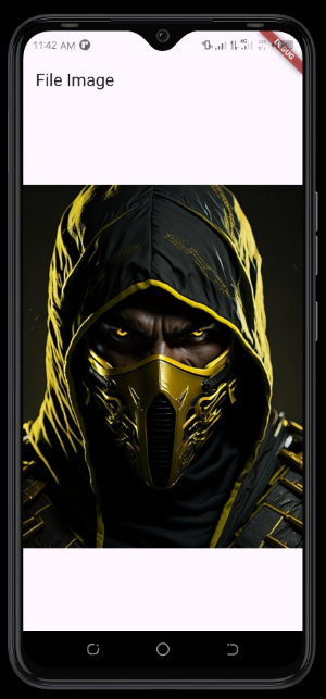 Flutter Gallery [File Image]