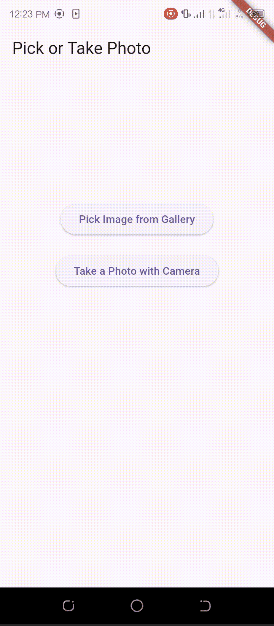 Flutter Gallery [File ImagePicker and Camera]