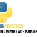 Python Manager objects