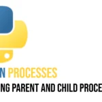Python process IDs