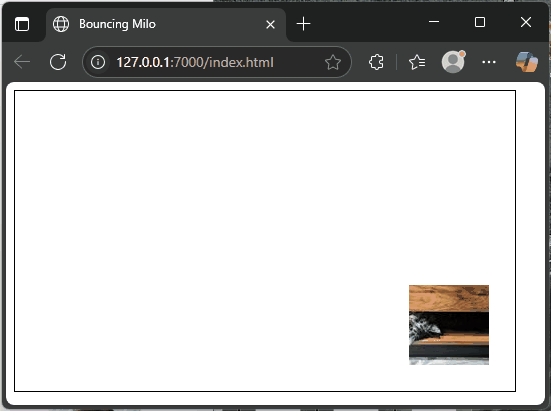 JavaScript Canvas: A Beginner’s Guide