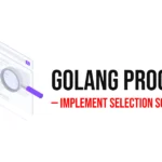 GoLang Program to Implement Selection Sort