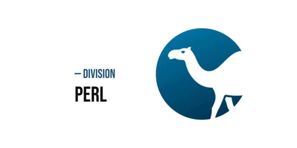 Division in Perl